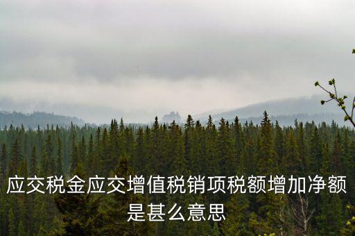 稅額增長點是什么意思，應(yīng)交稅金應(yīng)交增值稅銷項稅額增加凈額是甚么意思