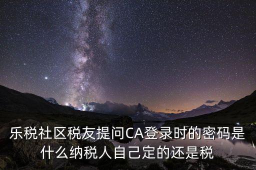 納稅人登路的密碼是什么意思，國稅第一次網(wǎng)上申報(bào)的登陸密碼是什么