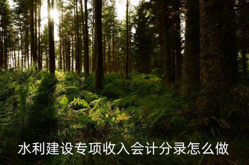 水利建設(shè)專項(xiàng)收入會計(jì)分錄怎么做