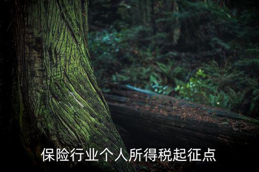 保險行業(yè)入交什么稅，保險行業(yè)個人所得稅起征點