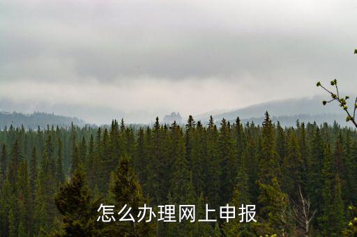航天數(shù)字證書是什么，機(jī)打發(fā)票上顯示輸入正確的數(shù)字證書怎么回事