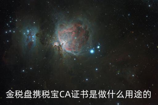 稅友的ca是什么，什么是稅務(wù)局的CA證書