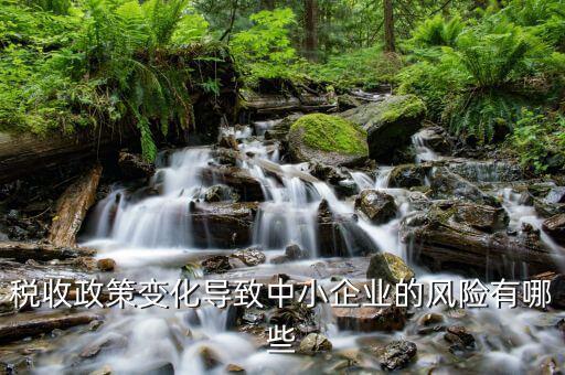 稅收政策變化導(dǎo)致中小企業(yè)的風(fēng)險有哪些