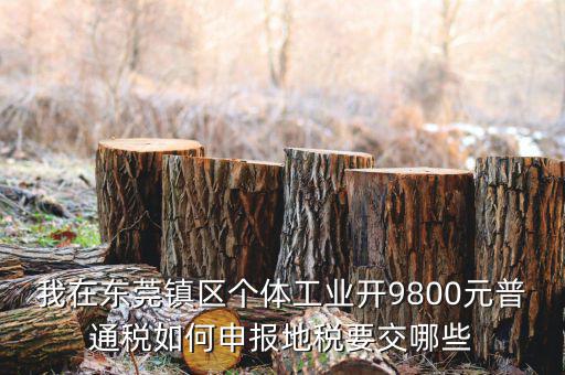 四稅一費(fèi)是什么，我在東莞鎮(zhèn)區(qū)個(gè)體工業(yè)開9800元普通稅如何申報(bào)地稅要交哪些