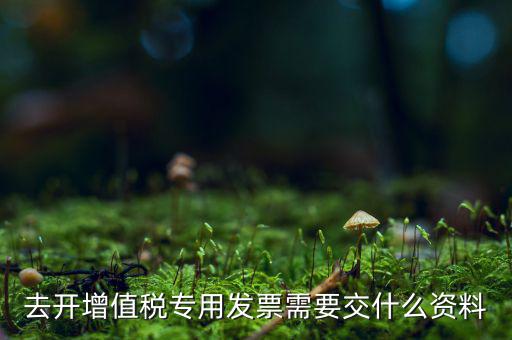 開專票需要對方什么資料，開具增值稅專用發(fā)票需要購買方提交什么資料稅屋