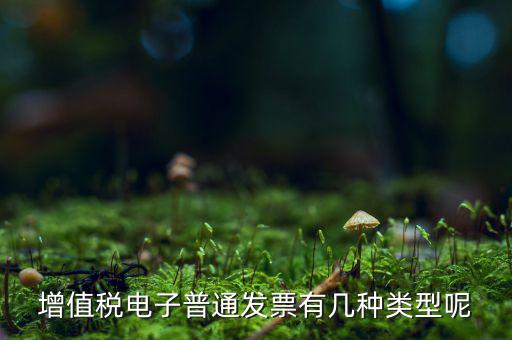 普通發(fā)票有什么種類(lèi)，發(fā)票分幾種