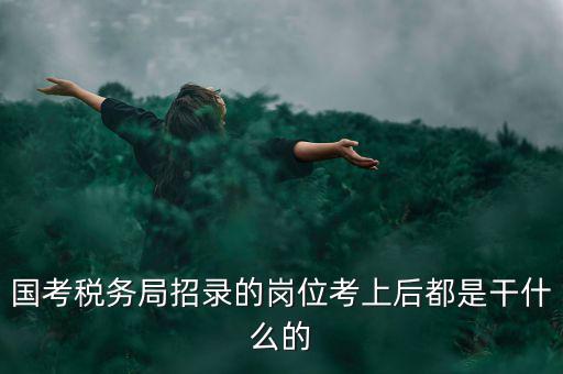國(guó)考稅務(wù)局招錄的崗位考上后都是干什么的