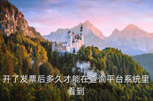 勾選平臺什么時候可以查到發(fā)票，已經開具的專用發(fā)票多久才能在勾選平臺中查到