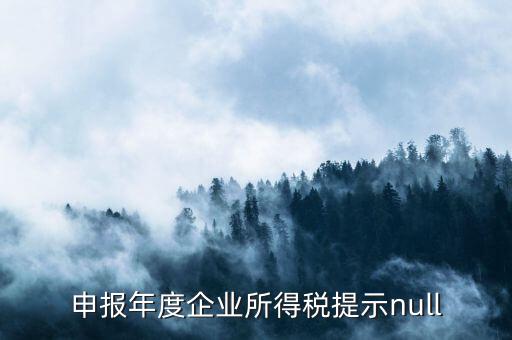 報(bào)稅是顯示null是什么意思，一般納稅人申報(bào)結(jié)果查詢null是什么意思