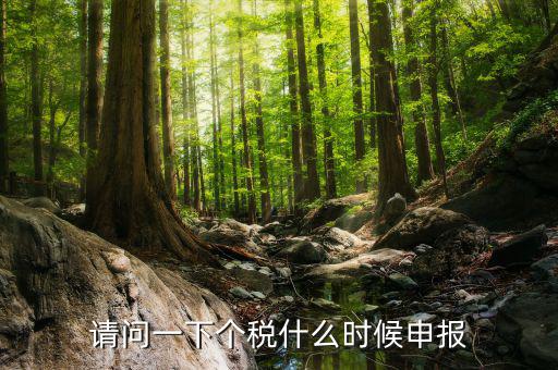 個稅什么時候開始申報，個人所得稅明細申報什么時候報