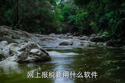 網上報稅要用什么軟件