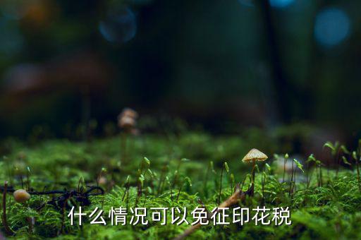 印花稅免稅是什么政策規(guī)定，什么情況可以免征印花稅