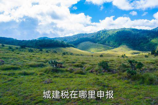 地稅城市維護(hù)建設(shè)稅按什么申報(bào)，城建稅申報(bào)