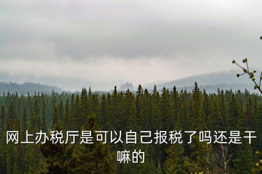 云廳報(bào)稅是什么意思，網(wǎng)上辦稅廳是可以自己報(bào)稅了嗎還是干嘛的