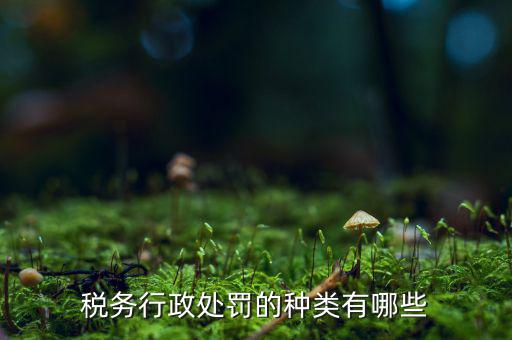 涉稅行政處罰包括什么，什么叫稅務(wù)行政處罰當(dāng)事人