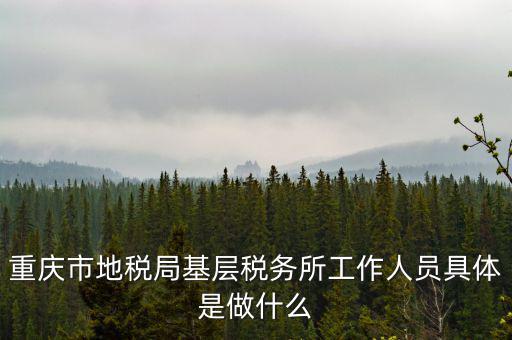 稅務局什么工作人員，請問地方稅務局具體做哪些工作