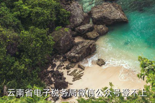 為什么電子稅務(wù)登錄不上，云南省電子稅務(wù)局微信公眾號(hào)登不上