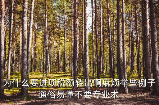 為什么要進(jìn)項(xiàng)稅額轉(zhuǎn)出，為什么要進(jìn)項(xiàng)稅額轉(zhuǎn)出啊麻煩舉些例子通俗易懂不要專業(yè)術(shù)