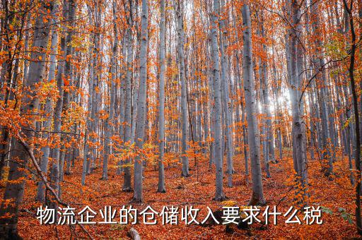倉(cāng)儲(chǔ)物流公司繳納什么稅，我是會(huì)計(jì)新手 請(qǐng)問(wèn)各位師傅們物流公司應(yīng)繳納什么稅