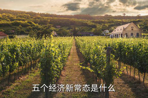 五個經濟新常態(tài)是什么