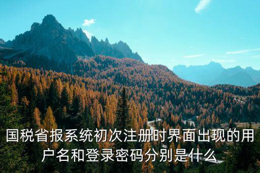河南省國(guó)稅申報(bào)系統(tǒng)帳號(hào)是什么，請(qǐng)問(wèn)國(guó)稅申報(bào)用戶號(hào)是什么密碼又是什么
