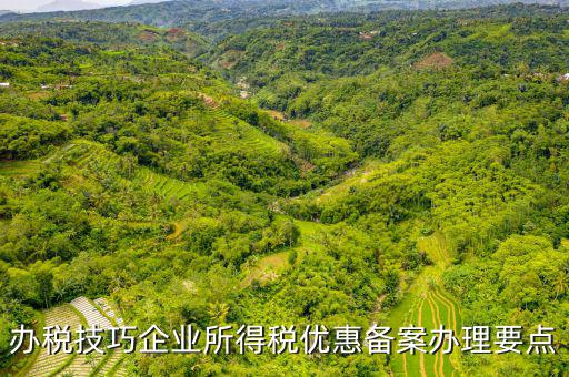 稅收優(yōu)惠事項(xiàng)備案項(xiàng)目是什么，企業(yè)所得稅需備案的事項(xiàng)包括哪些