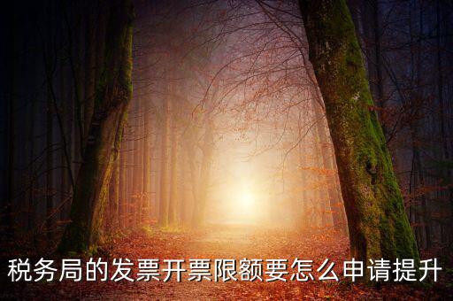 提高開票限額申請需要什么資料，去稅務(wù)局增大公司的開票限額需要帶些什么我公司第一次開票去申