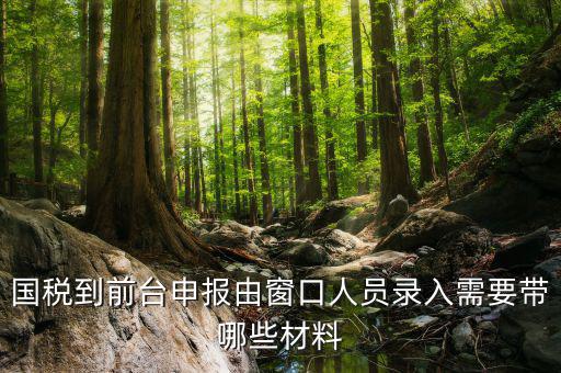 安徽去窗口申報(bào)稅需要帶什么材料，申報(bào)增值稅要拿什么材料去