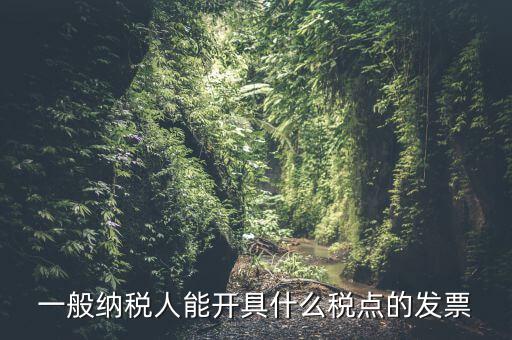 一般納稅人領(lǐng)什么發(fā)票，一般納稅人企業(yè)能開(kāi)具和使用什么類型的發(fā)票