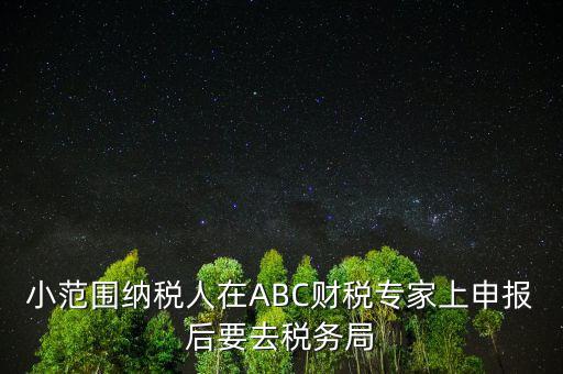 財(cái)稅專(zhuān)家是報(bào)什么稅，小范圍納稅人在ABC財(cái)稅專(zhuān)家上申報(bào)后要去稅務(wù)局