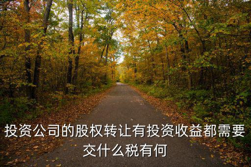 投資公司要交什么稅，投資集團公司如何繳稅