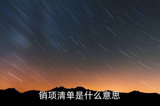 增值稅報稅清單是什么意思，發(fā)票清單是什么