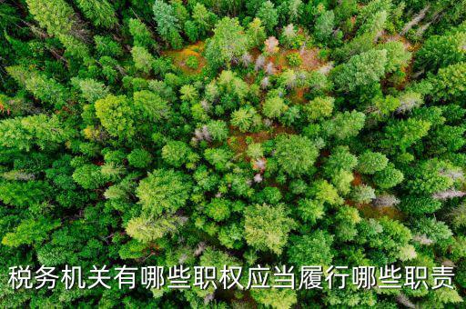 稅務(wù)機關(guān)有哪些職權(quán)應(yīng)當履行哪些職責(zé)