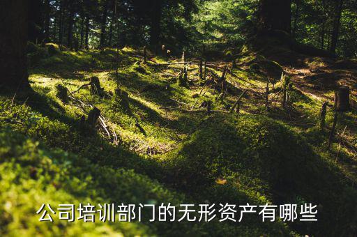 其他權(quán)益性無形資產(chǎn)是什么，無形資產(chǎn)屬于什么科目