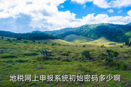 原江蘇地稅登陸初始密碼是什么，國(guó)家稅務(wù)總局網(wǎng)上辦稅服務(wù)廳初始密碼是什么