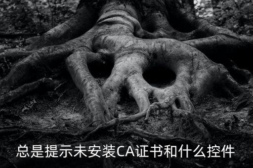 ca控件是什么意思，您是地稅CA用戶但未安裝企業(yè)CA控件為不影響申報功能正常使用請點