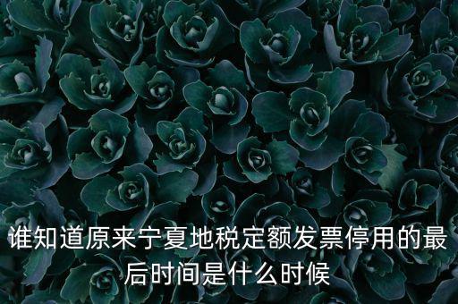 地稅的發(fā)票什么時(shí)候不能用，誰(shuí)知道原來寧夏地稅定額發(fā)票停用的最后時(shí)間是什么時(shí)候