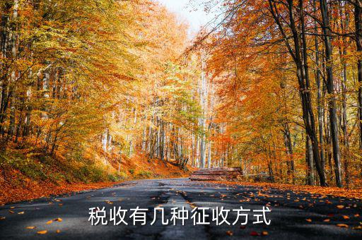 稅務(wù)征非稅采取什么方式，稅務(wù)征收有哪幾種