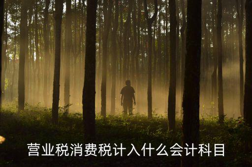 營業(yè)稅記什么科目，企業(yè)應交營業(yè)稅可以記入那個科目