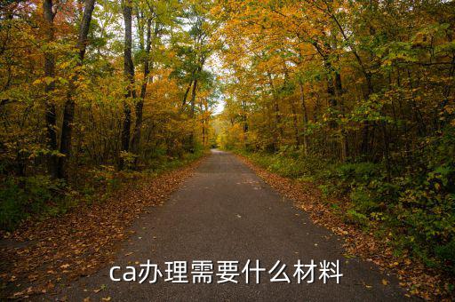 升級(jí)ca需要什么資料，企業(yè)辦理ca需要的材料