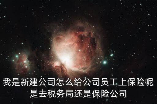 稅務(wù)局保險是什么，稅務(wù)局讓企業(yè)交得規(guī)費(fèi)和參保費(fèi)是什么