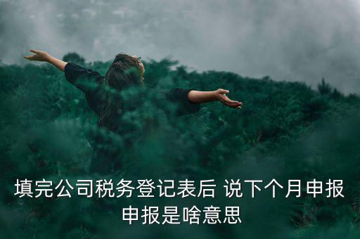 納稅登記表是什么意思，填完公司稅務(wù)登記表后 說下個月申報 申報是啥意思