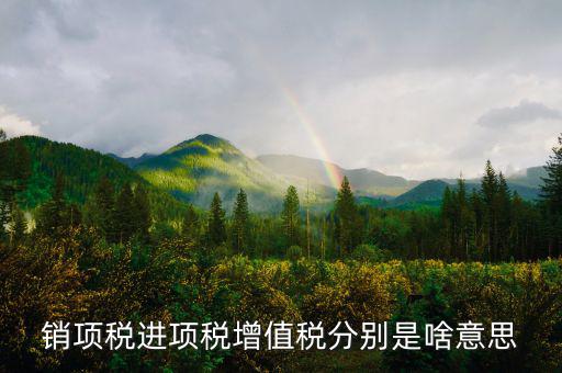 什么是銷項和進項，進項稅和銷項稅是什么意思