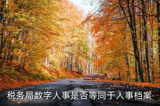 數(shù)字人事國稅是什么，數(shù)字人事第一段怎么劃分