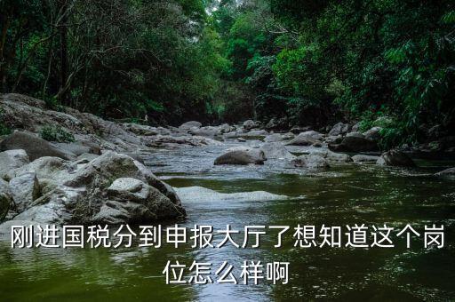 國(guó)稅局新進(jìn)人員一般分到什么崗位，國(guó)稅局 工作人員需要哪些專(zhuān)業(yè)職稱(chēng)