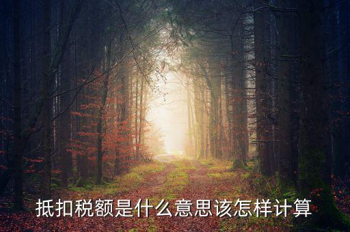 抵免稅額是什么意思，抵扣稅額是什么意思該怎樣計算