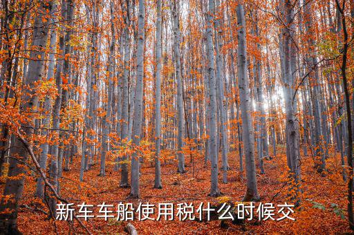 新車什么時(shí)候交車船稅，新車車船使用稅什么時(shí)候交