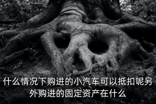 什么情況下購進的小汽車可以抵扣呢另外購進的固定資產(chǎn)在什么
