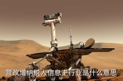 國稅主行業(yè)都是什么意思，營改增納稅人信息主行業(yè)是什么意思