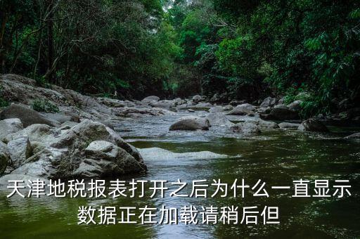 天津地稅為什么，天津地稅報表打開之后為什么一直顯示數(shù)據(jù)正在加載請稍后但